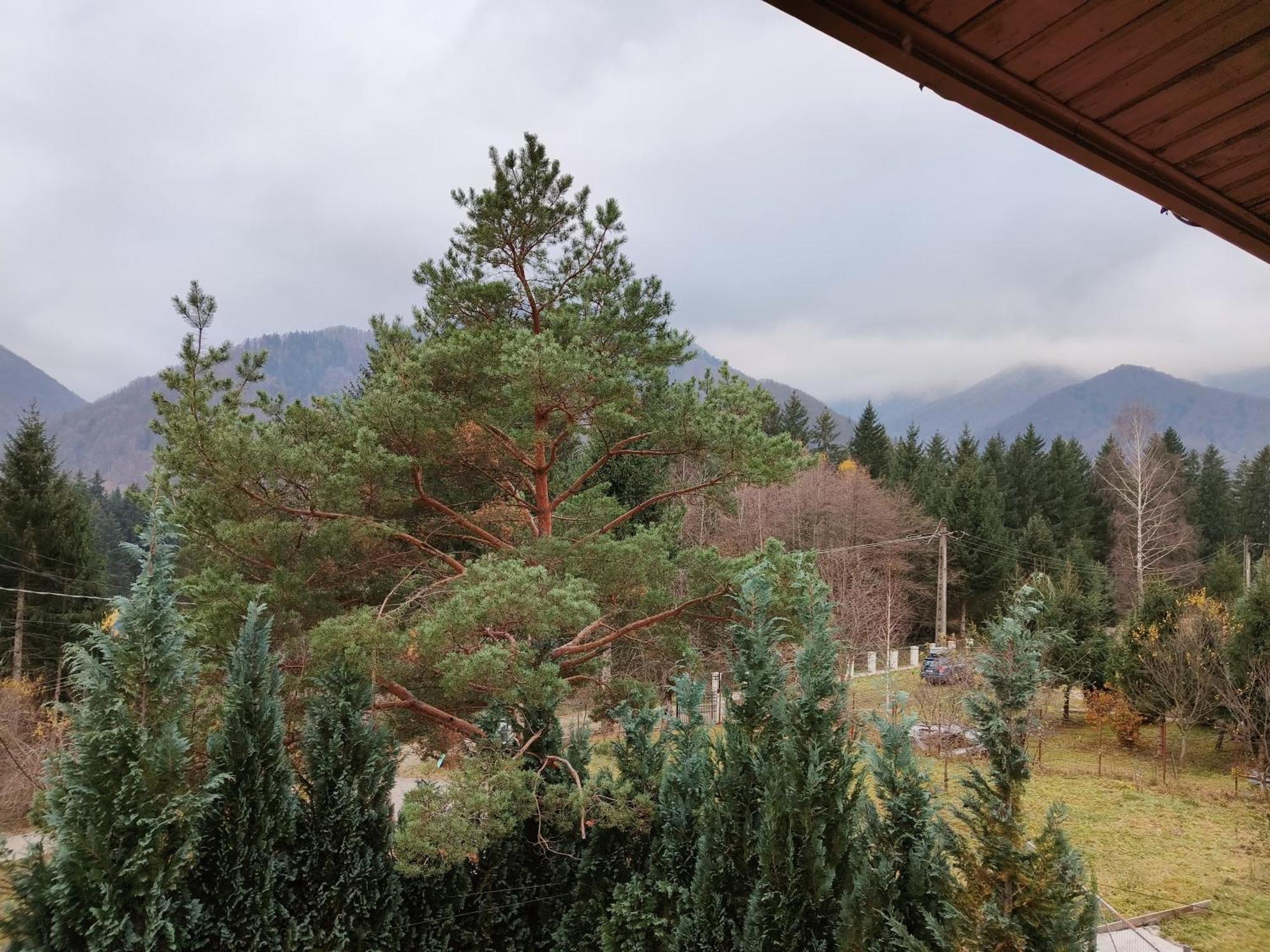 Casa Dintre Meri Poiana Mărului Esterno foto
